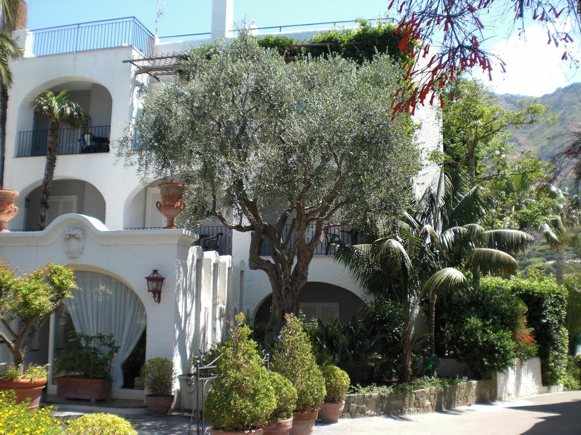 Hotel Parco Maria Terme Forio di Ischia Eksteriør billede