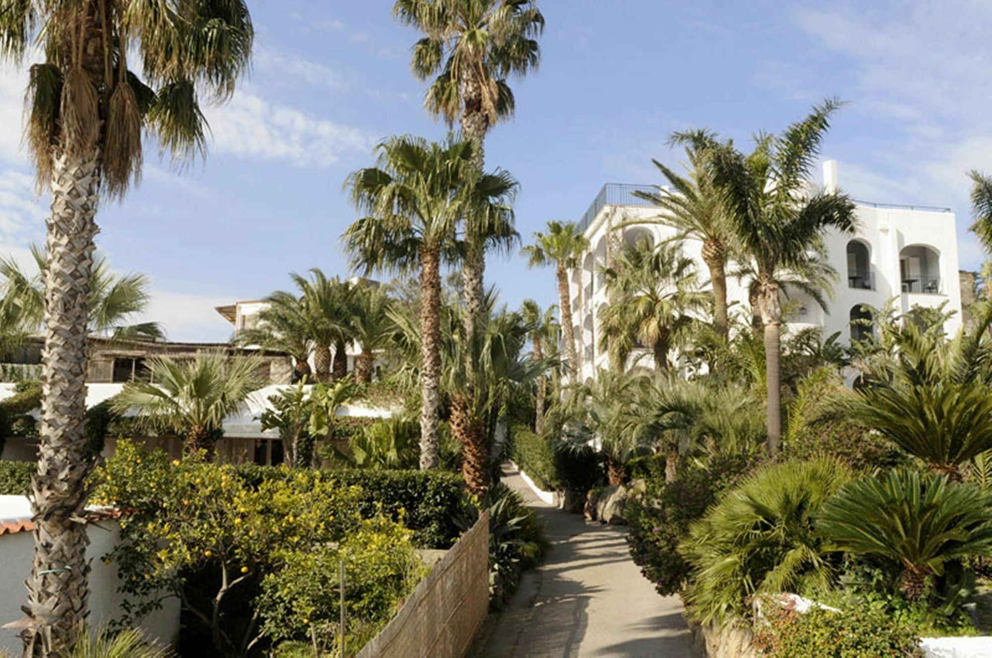 Hotel Parco Maria Terme Forio di Ischia Eksteriør billede